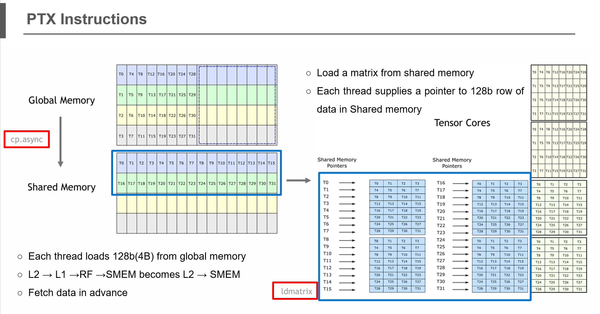 Fig.4 PTX
